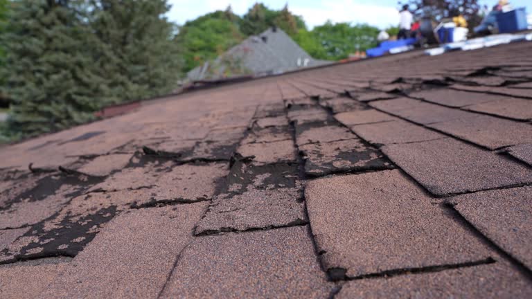 Steel Roofing in Chesnut Hill, PA